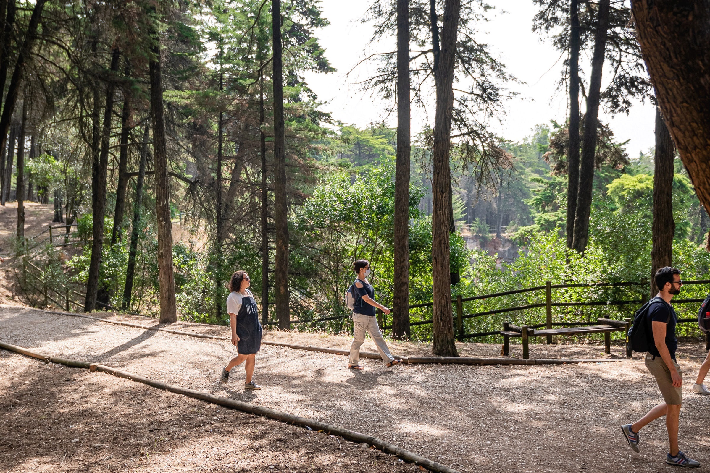 pessoas a passear na floresta