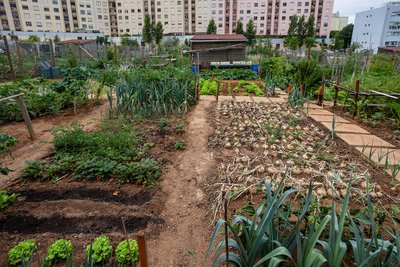 Hortas Urbanas têm 16 novos hortelãos